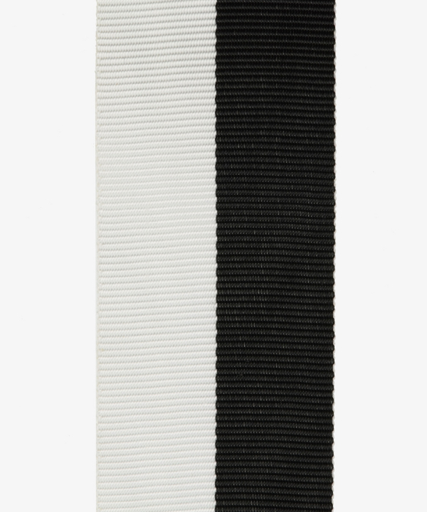 Freikorps, Upper Silesian Cross of Merit 2nd Class, Medal of the Kurland Settlement Association (26)